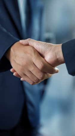 Advisor and SME owner shaking hands after closing a deal
